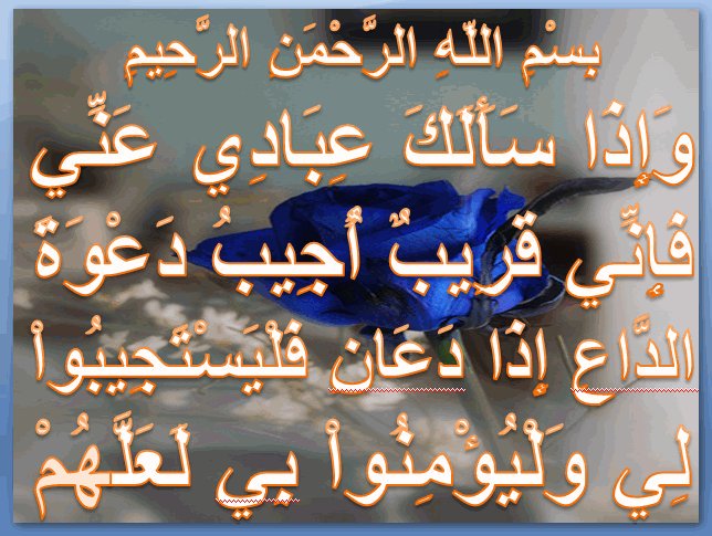 ام سميرة (@9uljlinncaf6hgq) on Twitter photo 