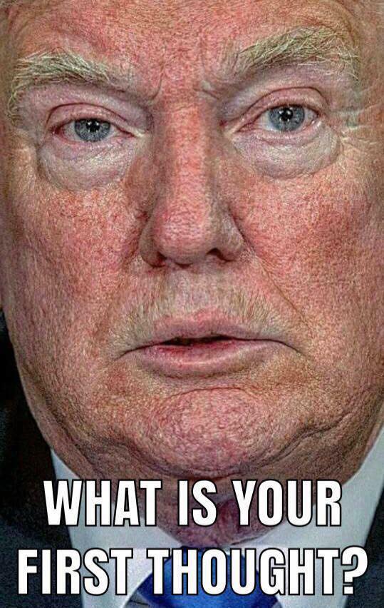 StopTrump2020's tweet photo. Reply with your first thought. https://t.co/cFyztk8sXb