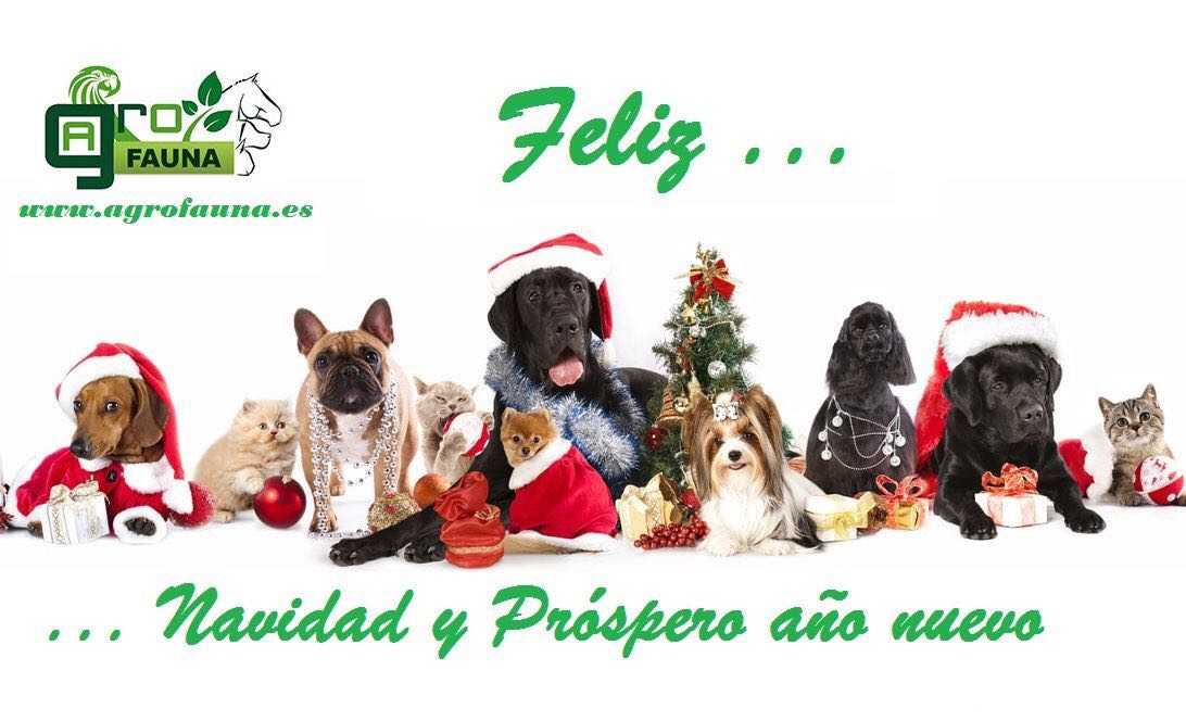 Agrofauna2's tweet photo. Agrofauna os desea feliz navidad!! Y que en el #2018 se cumplan todos vuestros deseos!! https://t.co/4M4b1y4QvT