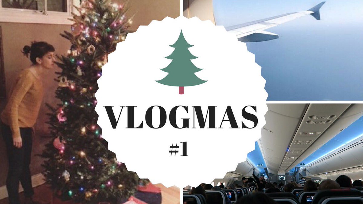 yointhemix's tweet photo. Je suis aux États Unis pour les vacances et j’ai fait un vlog tous les jours ! Voyagez avec nous ! C’est ici https://t.co/m6XFf54DwZ https://t.co/8z0RBUBynB