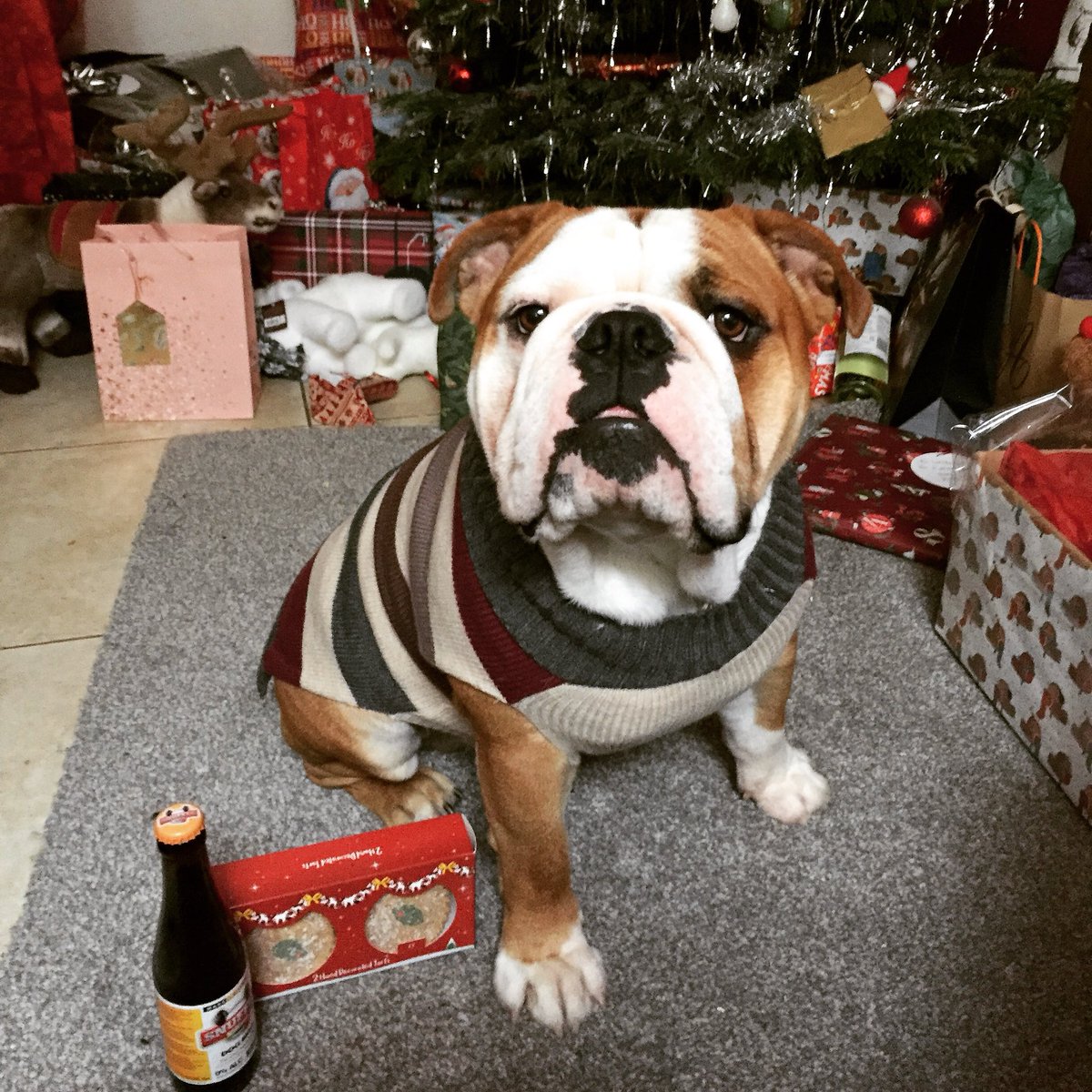 rik1_05's tweet photo. Merry christams!! Love wez!! 🎄 https://t.co/oZxGSIyzEI