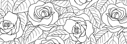 まぁまぁの頻度で本田描いてても全く上達してる気がしないのに、二年ぶりに描いた薔薇はなんとなく上達してて本当腑に落ちないんだけどなんなの 