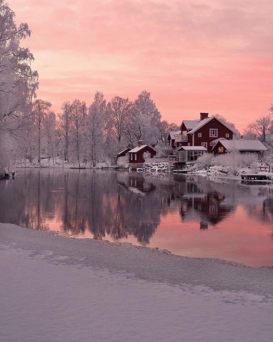 the_bongcolleen's tweet photo. Christmas lighting, Sweden . #nature #travel🇸🇪 #photography #pod #MerryChristmasEveryone #ThingsNotToSayToSanta #sky #clouds #ChristmasMorning #sunrise #StormHour #SnowHour #ChristmasDay @StormHour @SnowHour @EarthPixDaiIy . https://t.co/CTM72EsCfy