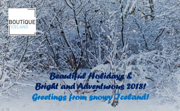 BoutiqueDMC's tweet photo. Merry Hollidays &amp; Happy New Year from #BoutiqueDMC #greetings #Iceland https://t.co/d9CW9klQUp