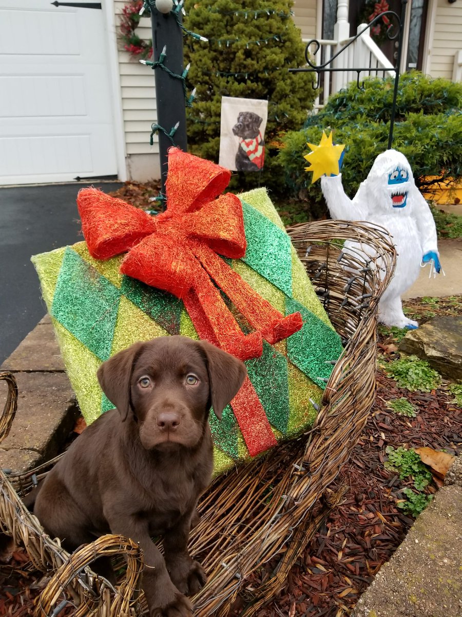 michael rabel (@mbrabel) | Twitter