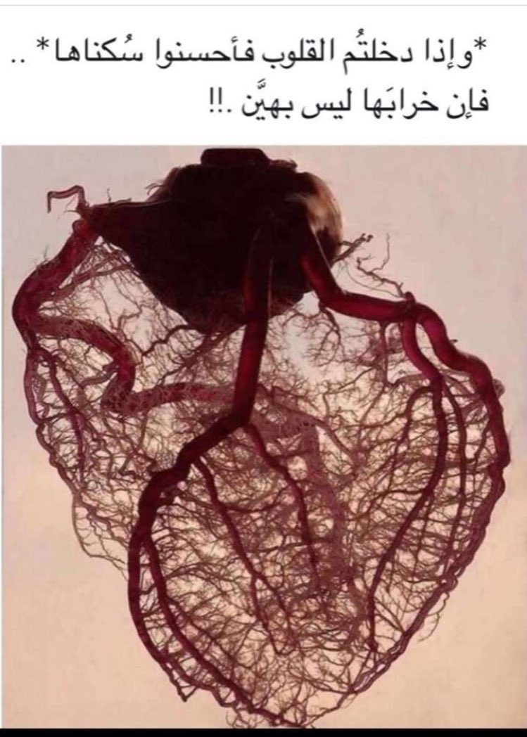 8l85_'s tweet photo. ": #قولولهـ.
.
.
.
.
.
خلنّي كذا، اعشقك من غير لا تدري
اوهمك بالنسيان وأنا بالحيل #أحبك ..،!
، https://t.co/YjLYuFVtxS