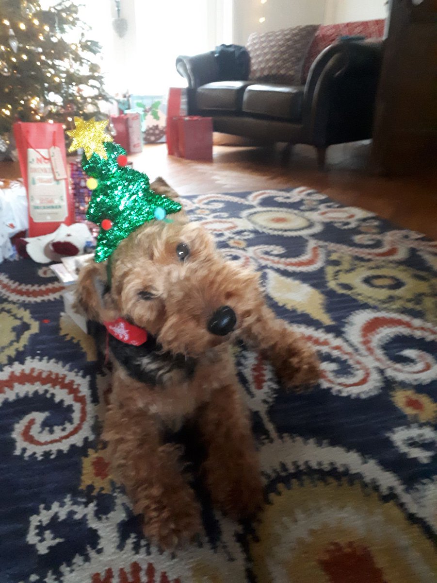Teddy Tanner 🐾 tweet media