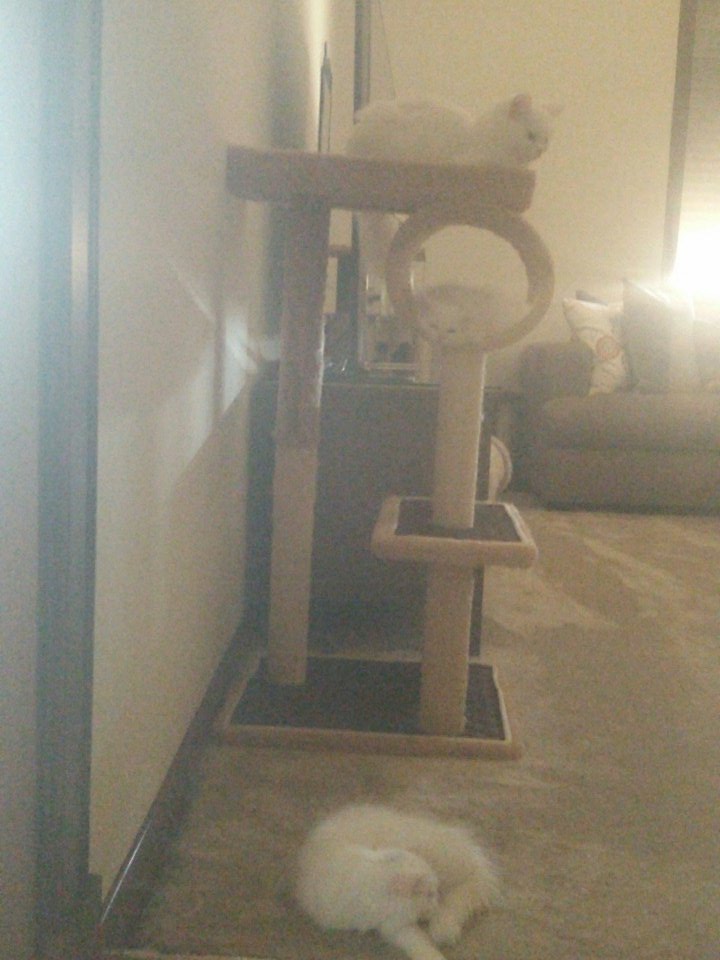 <a href="/yumnasari24/">Yumna Ir 1 Qu  ponty</a> <a href="/DA2_Irwan/">Irwan Krisdiyanto</a> #IrwanMGFDAA3 ini lgi 
#IrwanMGFDAA3