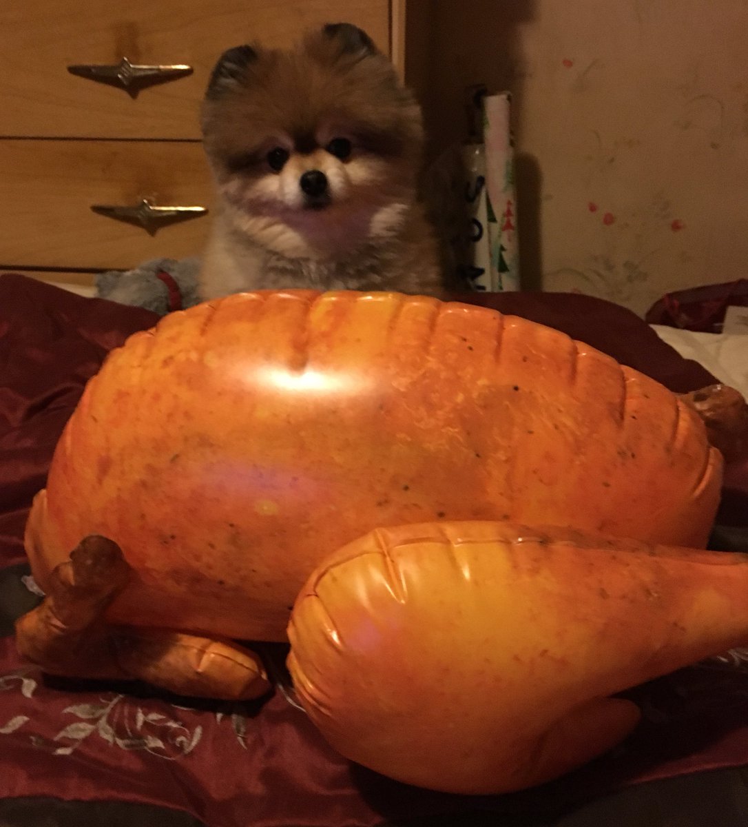 🎅🏼🎄Wishing all my Twitter friends &amp; family a very safe &amp; warm holiday, full of love, family &amp; friends, both four legged &amp; two. I am TRULY blessed to have you all. God Bless &amp; MERRY CHRISTMAS! 🎅🏼🎄❄️⛄️#ThatsAHugeTurkey!