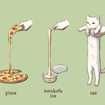 ピザやトルコ風アイスが伸びるのは当たり前!猫も結構伸びる!
