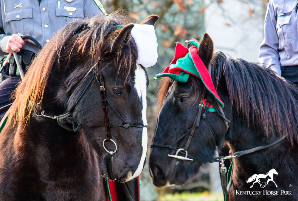 Kentucky Horse Park on Twitter "Wishing you a wonderful Christmas