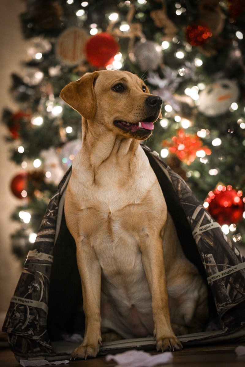 RigEmRight Outdoors tweet media