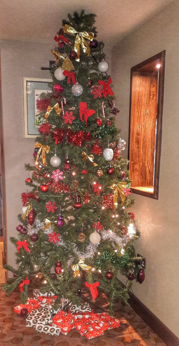 London Archway PI (@archwaypi) on Twitter photo Santa has left gifts under the tree for our little guests <a href="/karinholmes63/">Karin</a> <a href="/brunner79/">Alexandra Brunner</a> <a href="/SDEBDD/">simon ewins</a> Santa has left gifts under the tree for our little guests <a href="/karinholmes63/">Karin</a> <a href="/brunner79/">Alexandra Brunner</a> <a href="/SDEBDD/">simon ewins</a>