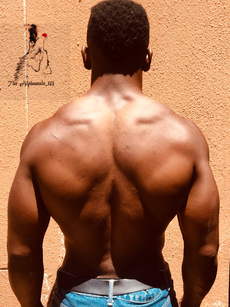 Alphamale_123's tweet photo. To you and your family a #MerryChristmas give your body a tune out from the weights, but you are what you eat. #bodybuilding #christmasstree #beastback #beast #fitness #health #yellowarmy #nplinternational #npl #theAlphamale_123 https://t.co/3vh4XZBHrY
