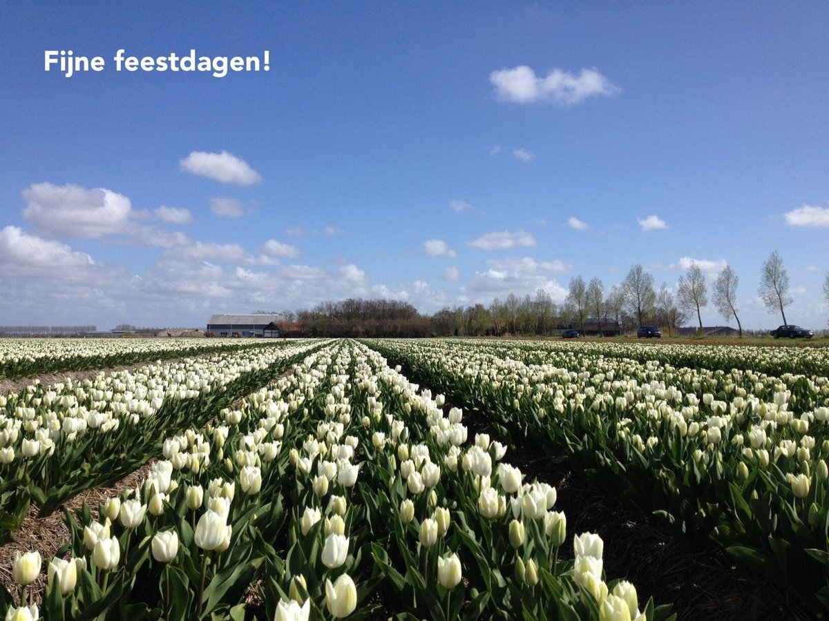 StEP Groendag (@stepgroendag) on Twitter photo 