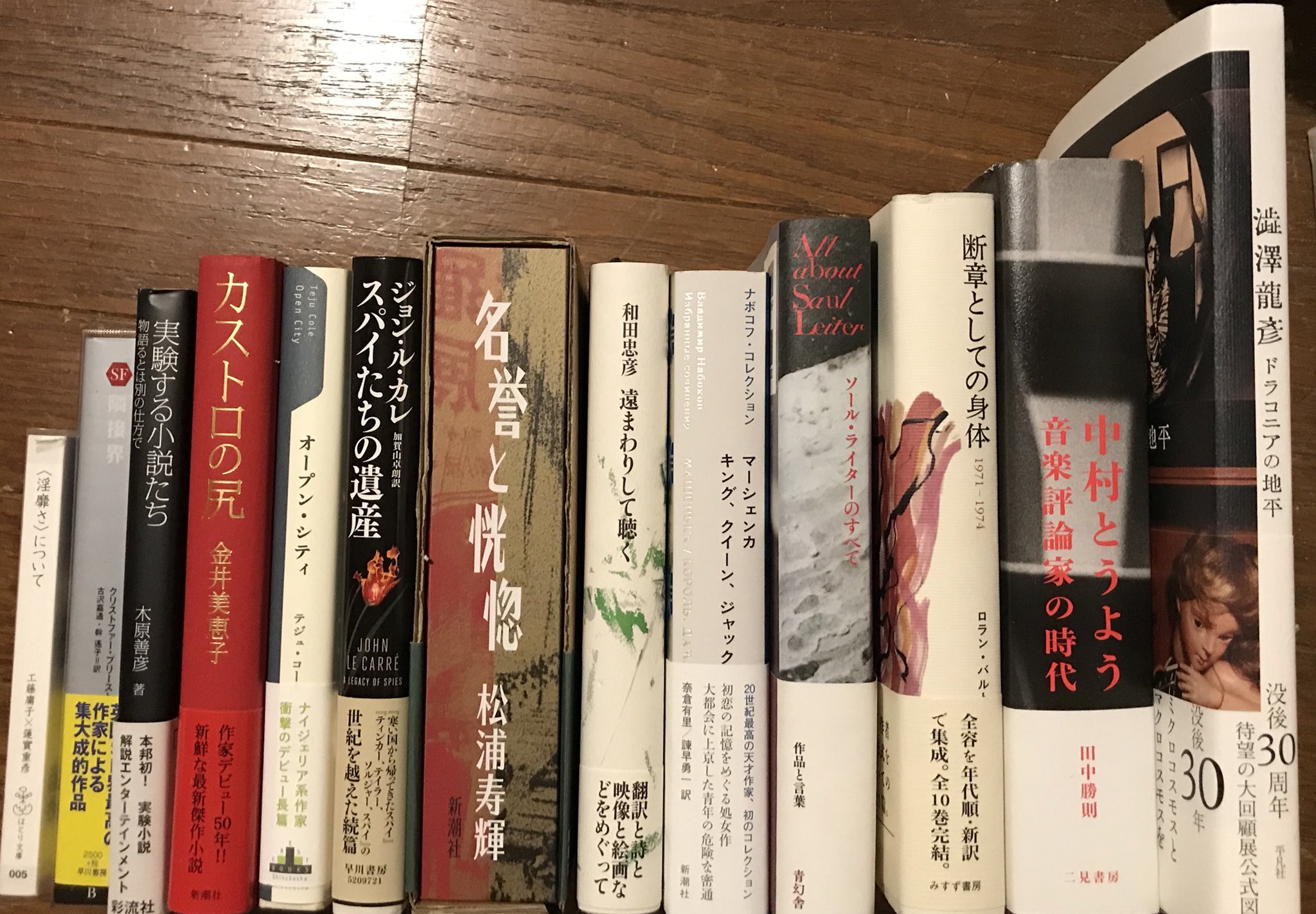 三月の水 17年の本ベスト約10冊 木原善彦 実験する小説たち ソール ライターのすべて 松浦寿輝 名誉と恍惚 武田百合子 あの頃 金井美恵子 カストロの尻 田中勝則 中村とうよう 音楽評論家の時代 工藤庸子 蓮實重彦 淫靡さ について テジュ