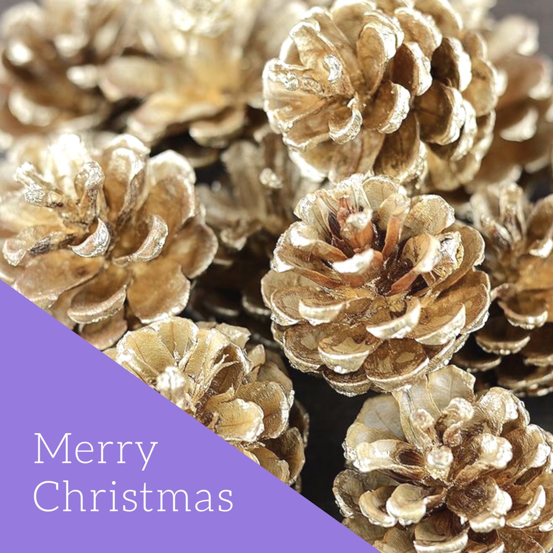 OBU Student Senate tweet media