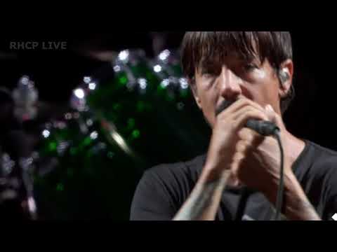 itabirafest's tweet photo. RHCP - Dark Necessities - The Meadows Festival, NY 2017 (SBD audio) -> https://t.co/WetnhRXbcX
, #Notícias https://t.co/lwOKObVdqR