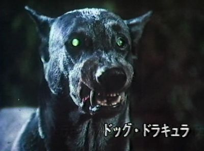 O Xrhsths クロケット Sto Twitter テレビ放送時は ドッグ ドラキュラ というタイトルでした 黒犬が結構怖いんですよね O Xrhsths クロケット Sto Twitter テレビ放送時は ドッグ ドラキュラ というタイトルでした 黒犬が結構怖いんですよね