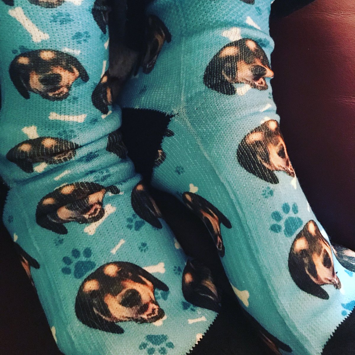 Pupsocks Hashtag On Twitter
