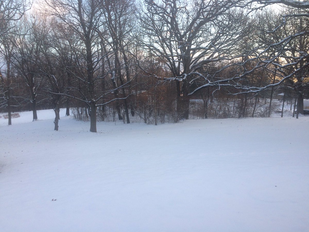 theMarcelosFarm's tweet photo. #whiteChristmas #raspberries #farmette #farming #smallfarm #locallygrown #Pete'sFarm #berries #allnatural #huntley #il #60142 #ford #tractor #1956 #model600 #natural 
#Health #landscape #gardening #hammock #countrylife #woods #nature #Produce #fruitrees #veggies https://t.co/VnfwSZ0o7F