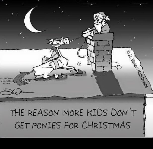 TA_SSRoping's tweet photo. Merry Christmas! https://t.co/yYdHtuASSn