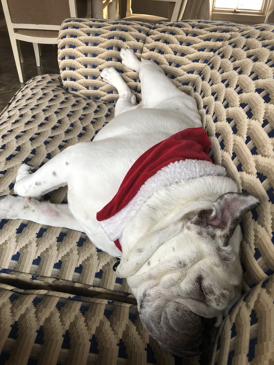 Hope everyone has a relaxing and Merry Christmas!