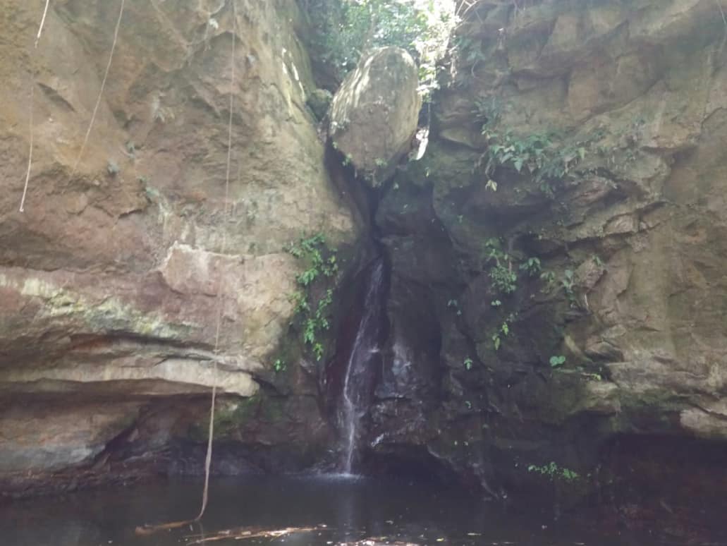 DBATIDOS's tweet image. 