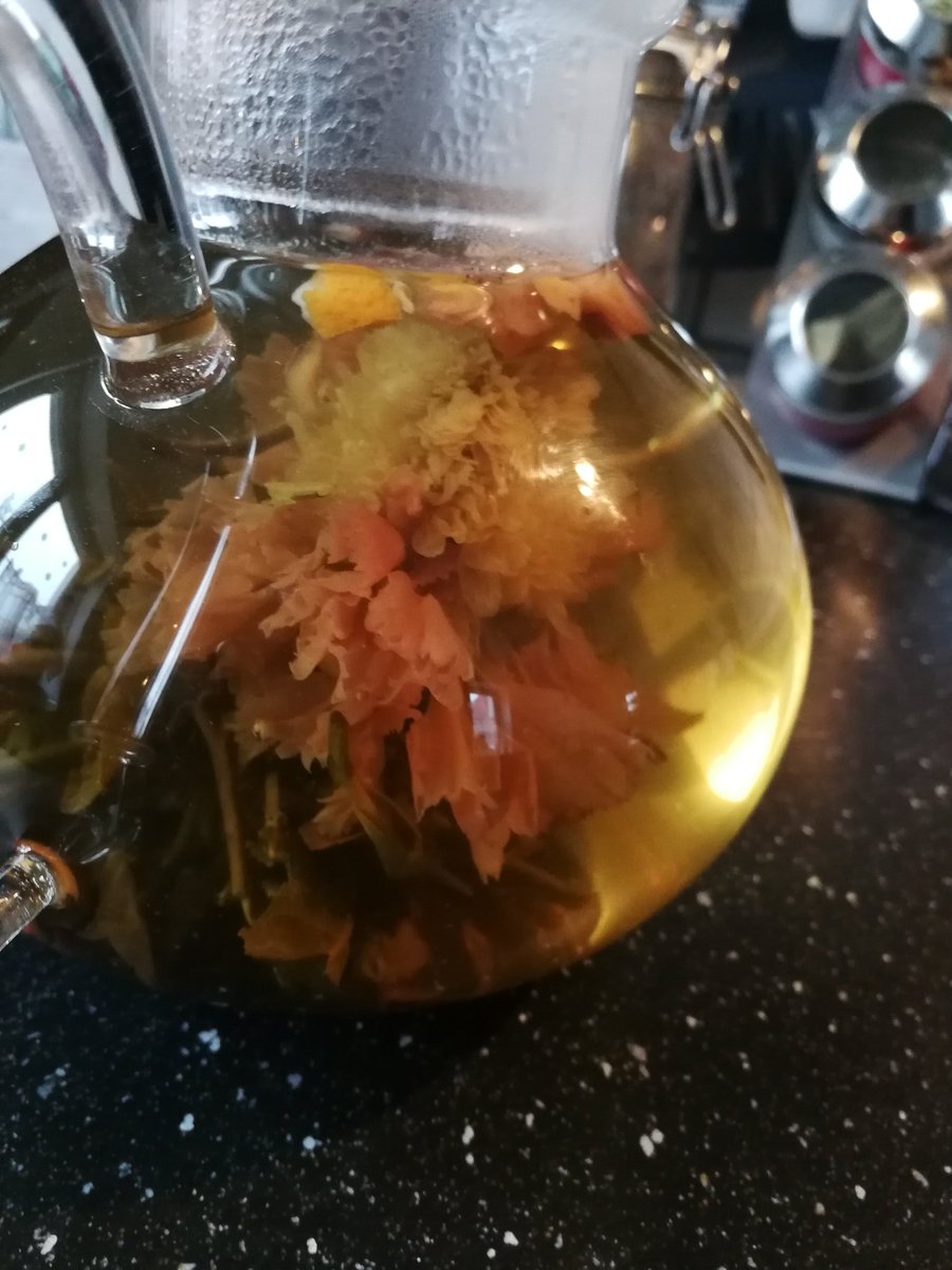 LordSerpin's tweet photo. Auch heute eine schöne #Teeblume für euch.
Ist sie nicht hübsch?
Hoffe ihr habt einen fantastischen und entspannten Tag meine Lieben 💓 https://t.co/tqYpAzvvDO