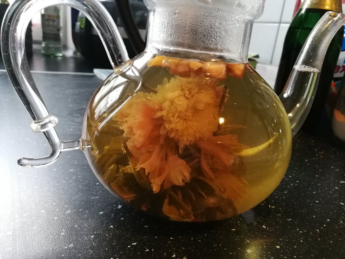 LordSerpin's tweet photo. Auch heute eine schöne #Teeblume für euch.
Ist sie nicht hübsch?
Hoffe ihr habt einen fantastischen und entspannten Tag meine Lieben 💓 https://t.co/tqYpAzvvDO