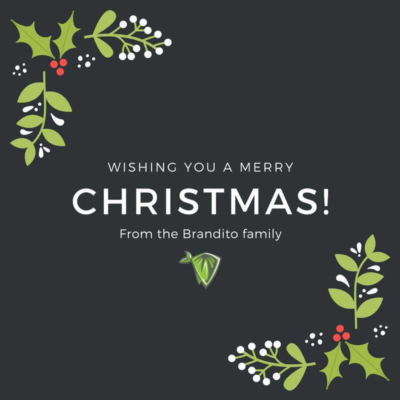 Merry Christmas everyone!! We hope you enjoy all the gifts that Christmas brings!