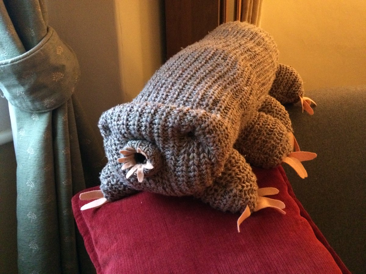 cuddly tardigrade