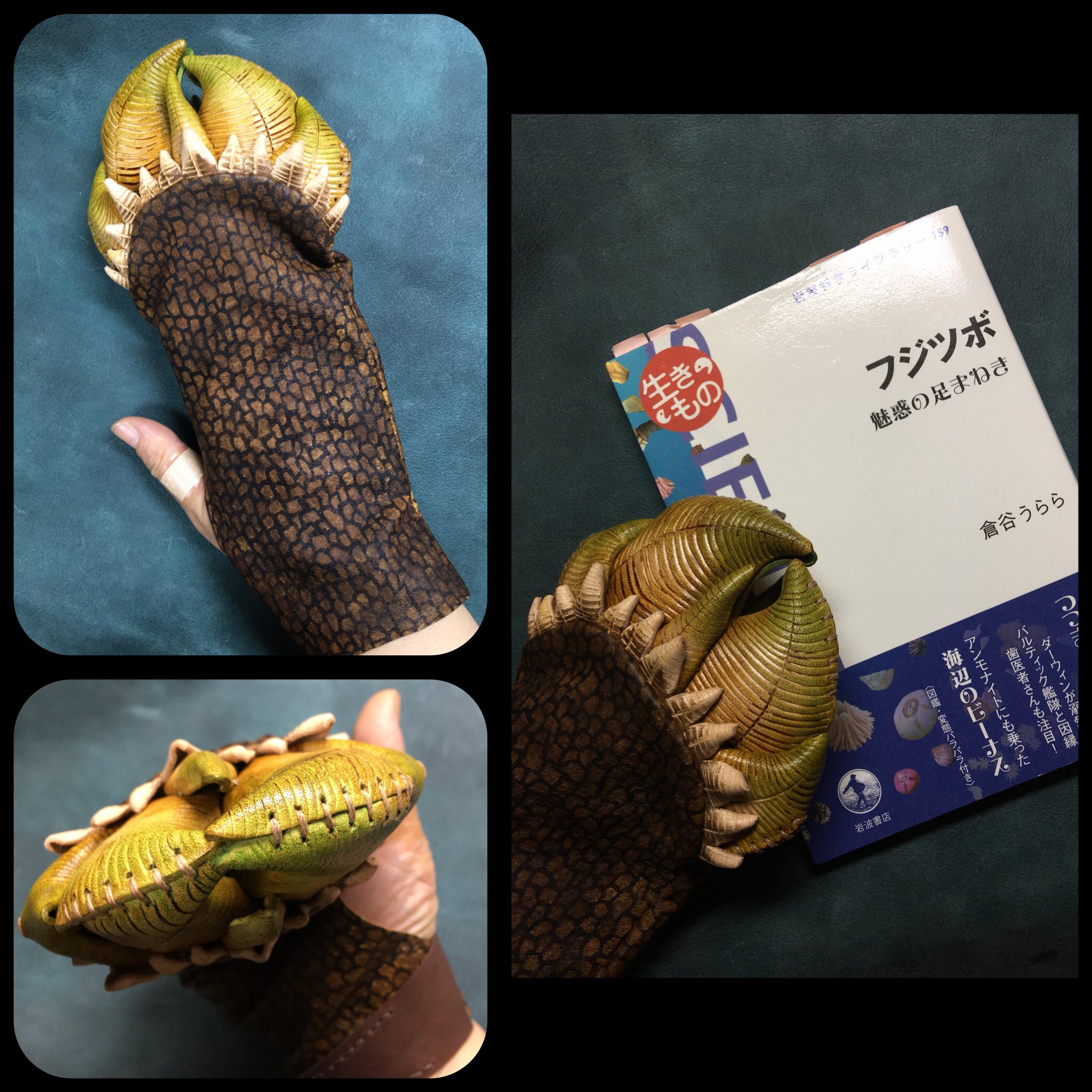 あまのじゃくとへそまがり カメノテの手袋 ミョウガガイ科カメノテ Capitulum Mitella フジツボの仲間で 亀の手に似ているのが名の由来 大きさは3 7 潮間帯の岩礁の隙間に付着している 食用とされ 味噌汁や塩茹でなどで美味 参考 岩波科学