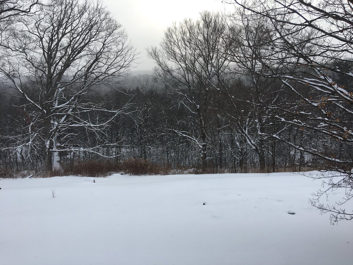 michellespins's tweet image. 