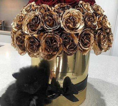 andrsonpeter's tweet image. Para @Bellatrixship, mi querida Bella. Me alegro que ya me trates de tú, por fin. Aunque me costó ganarme tu confianza, me alegro de haberlo hecho, eres genial. Vuelve por favor.

P.D.: Me acuerdo lo mucho que te gustó la corona cuando la viste.