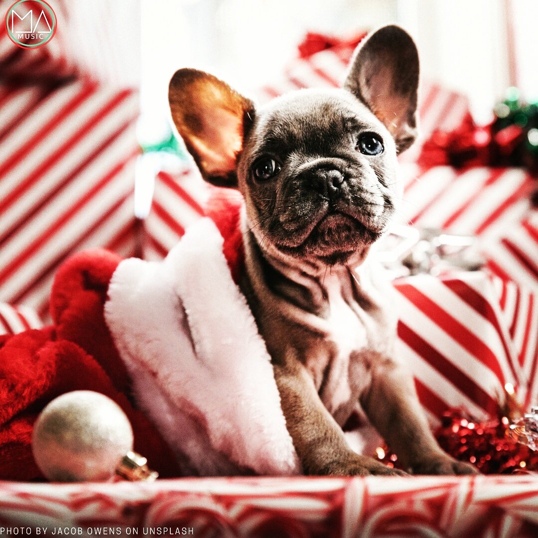 MikaelAngeloSam's tweet photo. Happy!! Holidays!! #HappyChristmas #Merry #family https://t.co/WU8QZsBmLJ