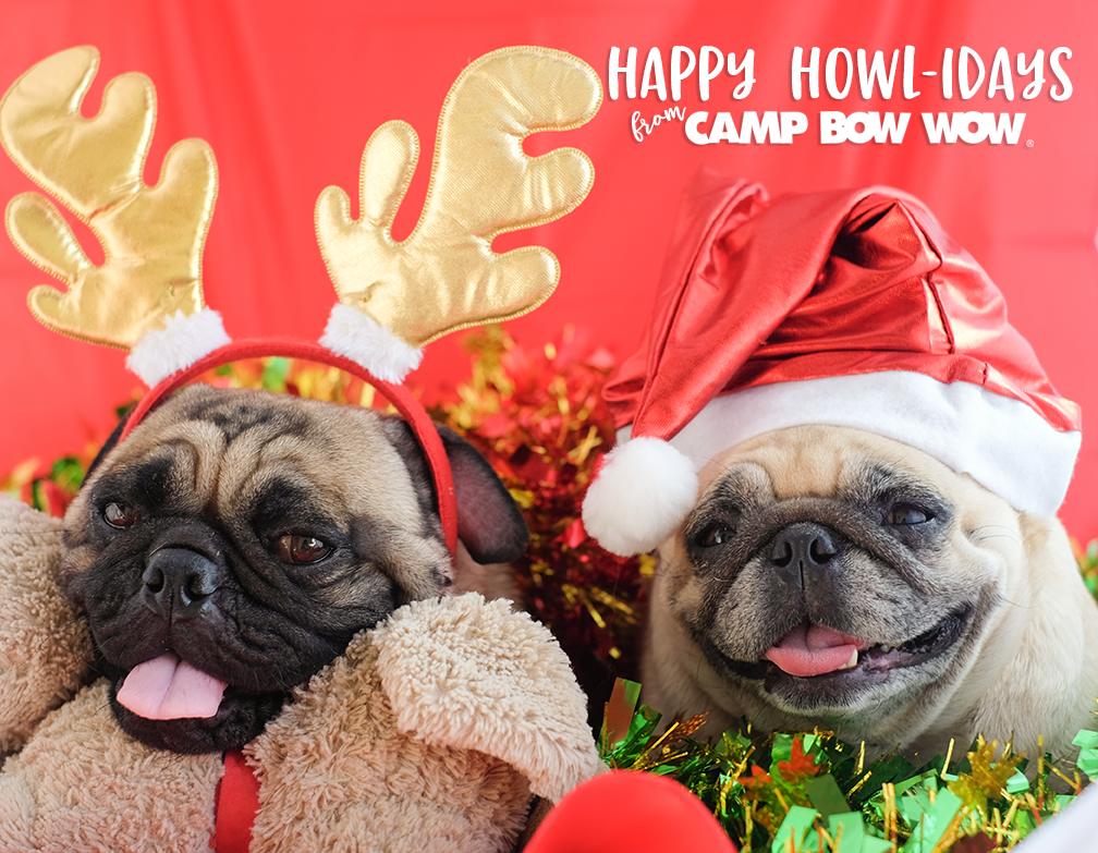 cbwKCwestport's tweet photo. Merry Christmas and Happy Howlidays from our Camp to yours! #MerryChristmas #Barkmas #Howlidays #CBWKCWestport #DogsOfKansasCity #WestportPack https://t.co/Uv6QImF6Nf