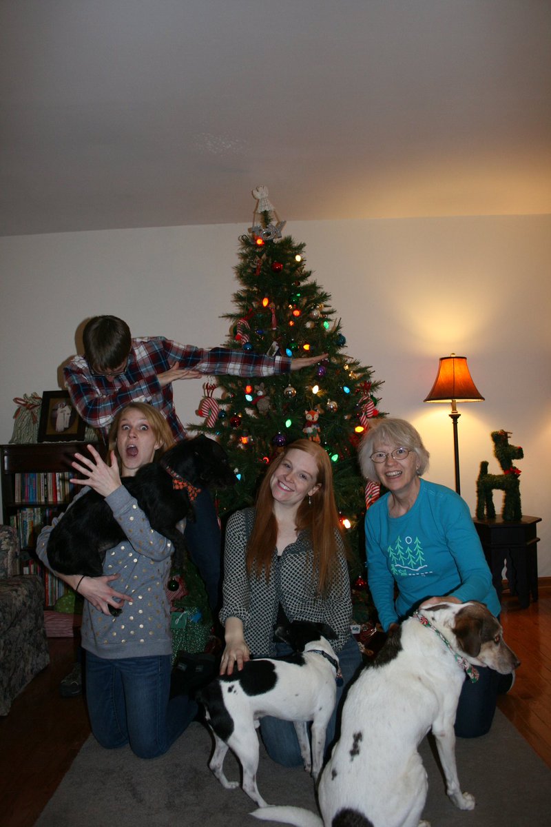 KatiGM's tweet photo. I hope everyone is having as great a season as my family. Merry Christmas to those who celebrate it, and let's all try to make the last week of 2017 a happy one. #cameratimer #tryingtotakephotoswithdogs #christmasdab https://t.co/3aYDJ917EG
