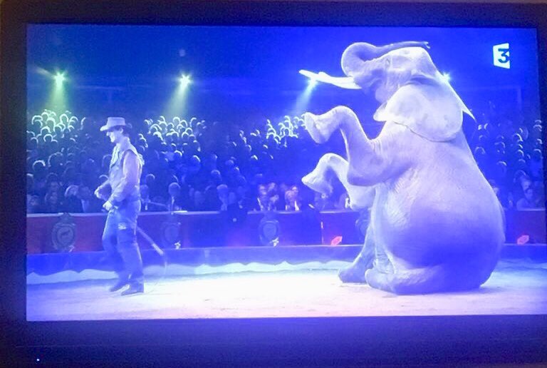 Alors que le mouvement vers un #CirqueSANSanimaux sauvages est amorcé et inéluctable, voulu et attendu par une très large majorité, @France3tv promeut la souffrance animale en prime time... Affligeant !#cirquedemontecarlo