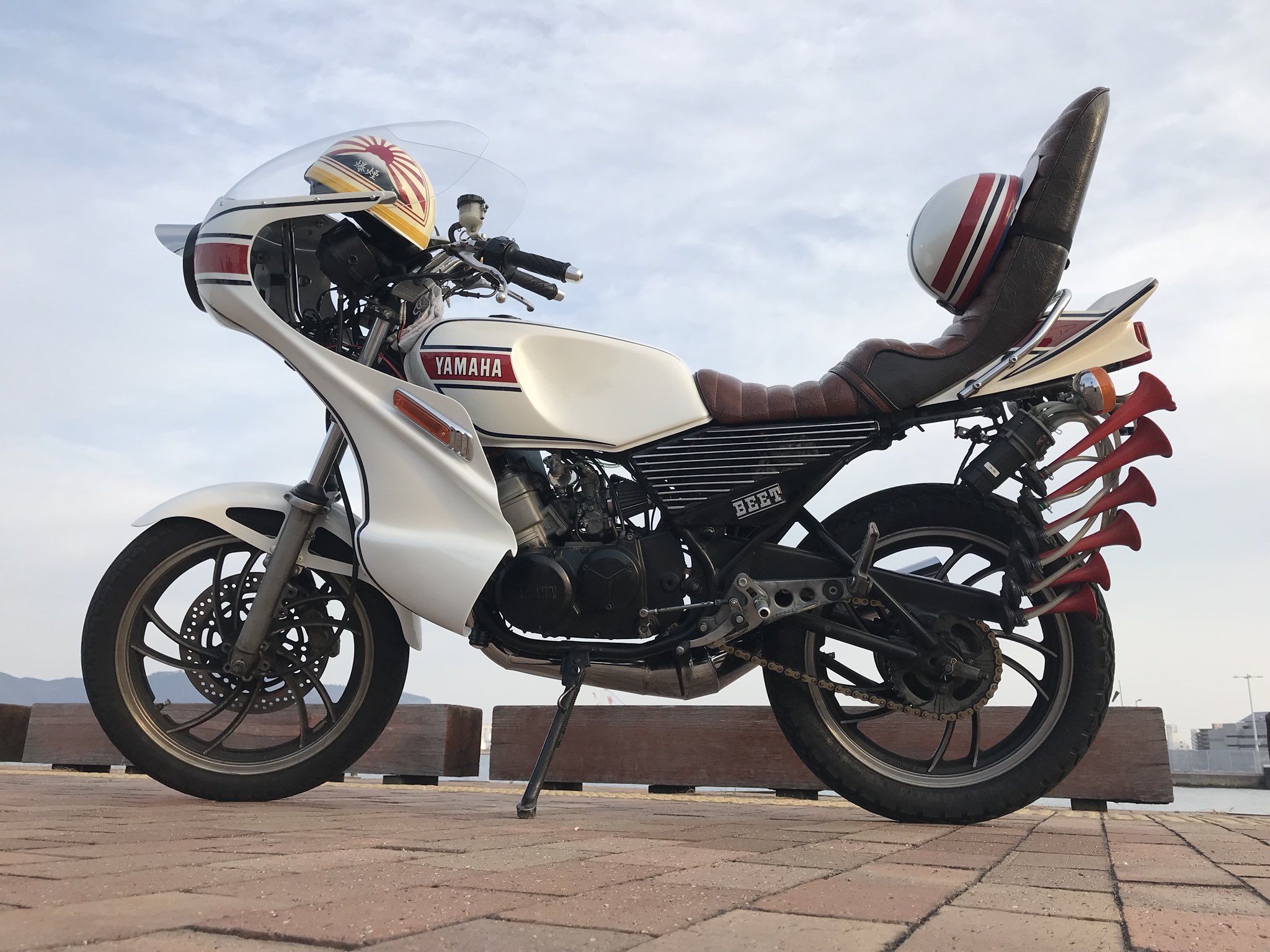 RZ250R カウル rz250r 純正オプション アンダーカウル シングル