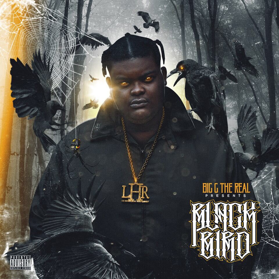 Super Nard® Fan Page (@SuperNardFan) | Twitter