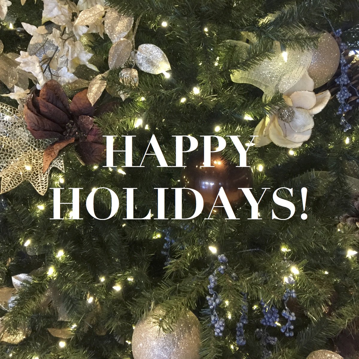 Wishing you a day full of holiday cheer. Merry Holidays!