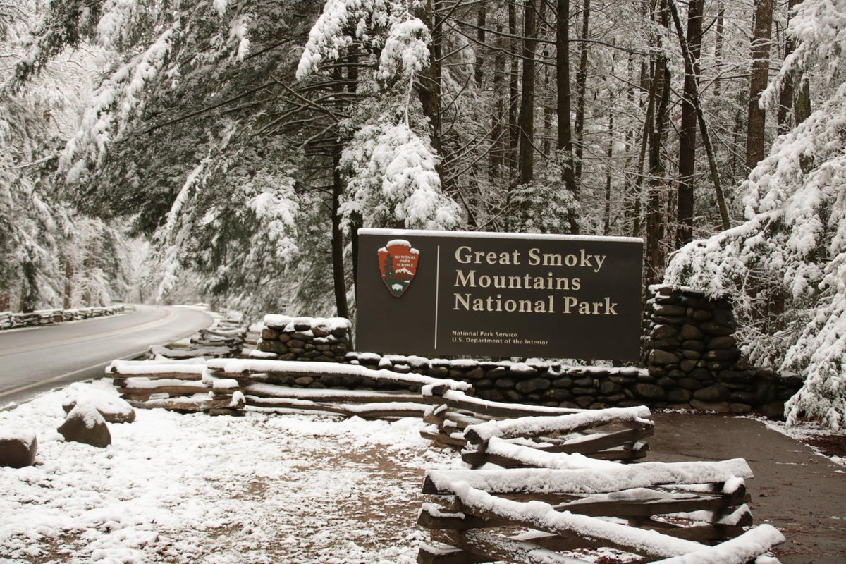 GreatSmokyNPS's tweet photo. From our family to yours, Merry Christmas! –The staff and volunteers of Great Smoky Mountains National Park. Photo: Warren Bielenberg https://t.co/YpizEkJ0eb