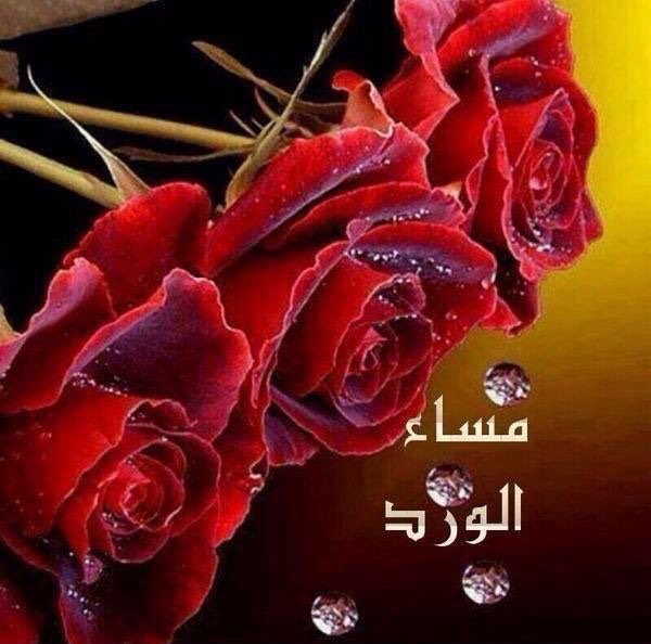 ﻋﺳﺳﺳـﻰ ﮔـﻞ ﻗﻟﺐ
       ﺑﮭﺎ ﺍﻟﻮﻗﺖ ﻳﮕــﻮﻭﻥ ﻣﺮﺗــاﺡ 
ﻭ اﻟﻟـﻲ ﻓﻲ ﻗﻟﺒـﮧ ﺍﻣﺎﺍﻧــﻲ
        ﯾﭑ ﻋﺳﻰ ﺭﺑﻲ ﻳﺣﻗﻗﮭـﺎ ...
.
مساء الورد🌹