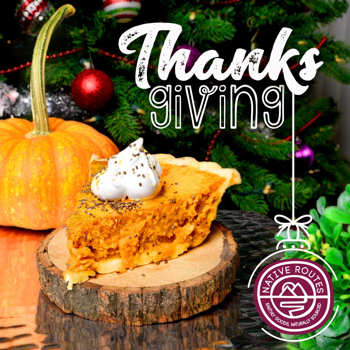 nativeroutes's tweet photo. Enjoy love and laughter with family or friends. #NativeRoutes give thanks!! ❤️🥧🎄 Happy holidays &amp; Merry Christmas ✨✨✨ https://t.co/CAshOj3Nqd