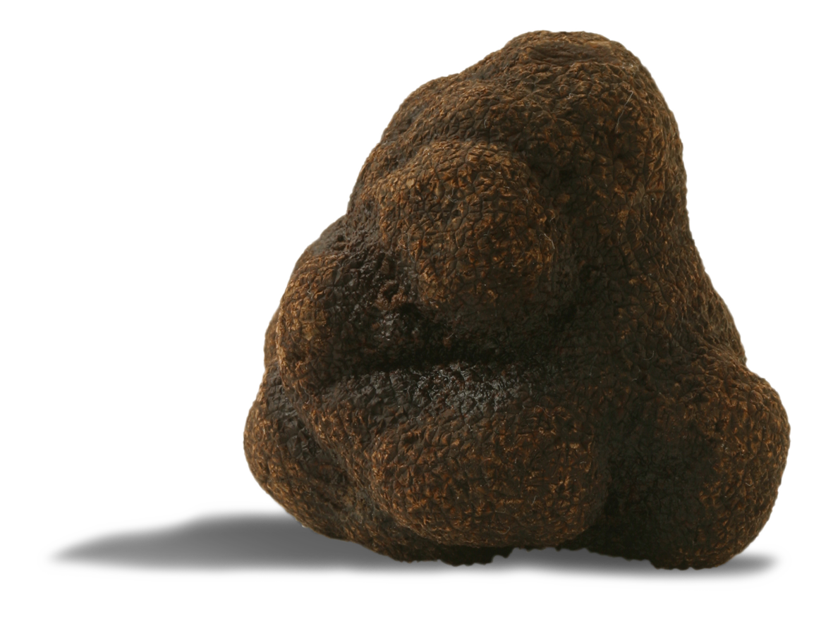 echexspain's tweet image. www-bbc-com.cdn.ampproject.org/c/s/www.bbc.co…