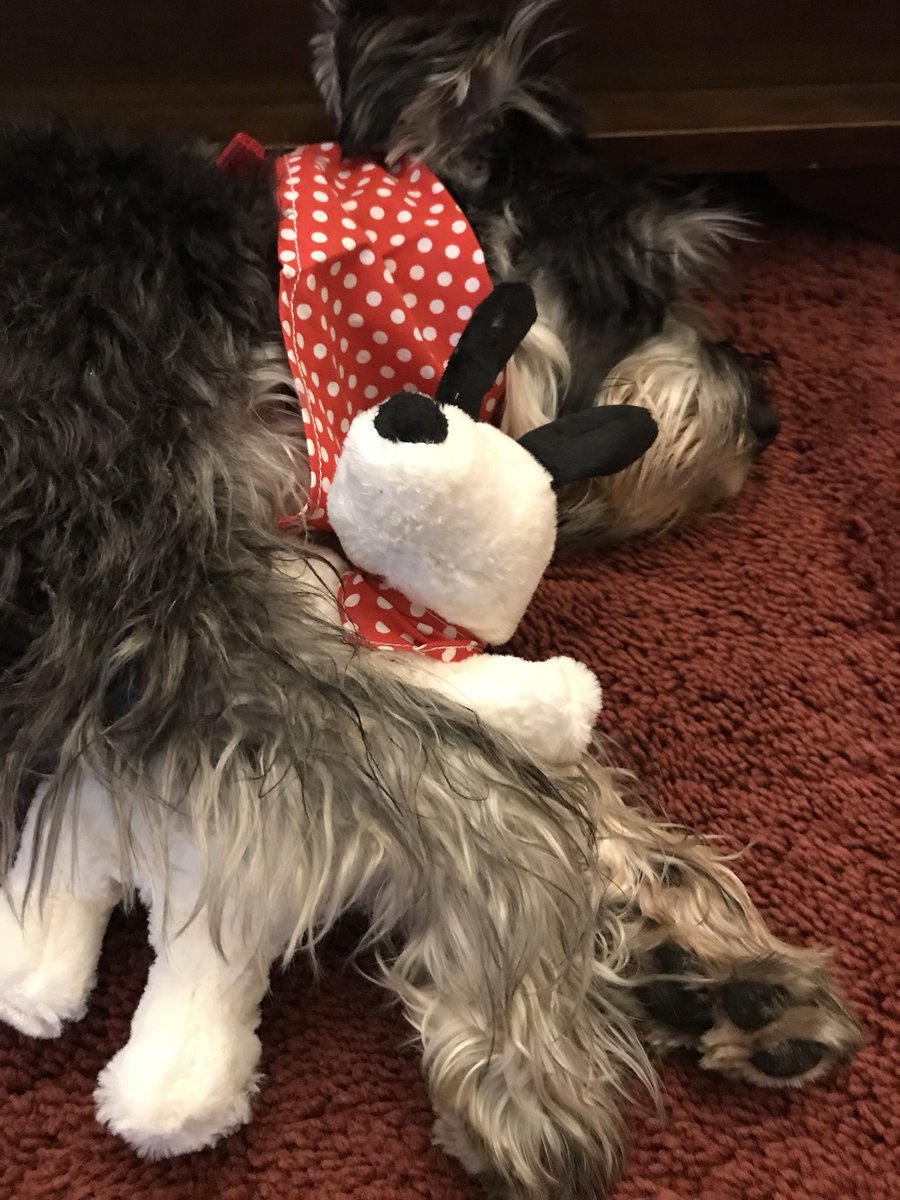 Caroline Dyson tweet media