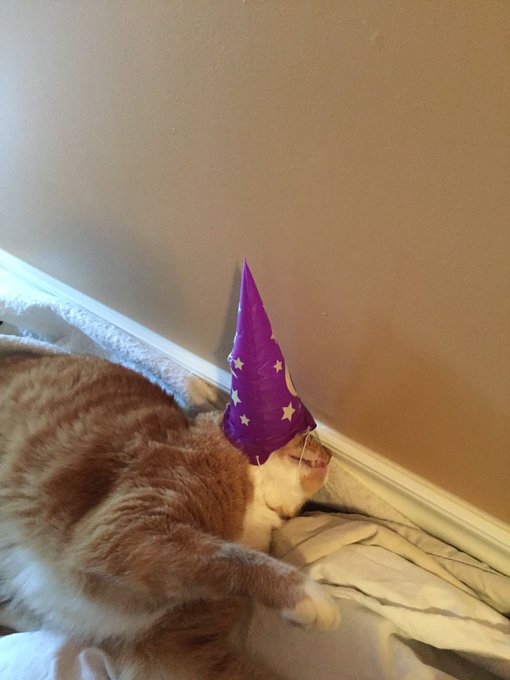 Well that didn't last long. https://t.co/iwnqnVuXus<a href="/tag/trumpkin"class="tags"><span>#trumpkin</span></a>