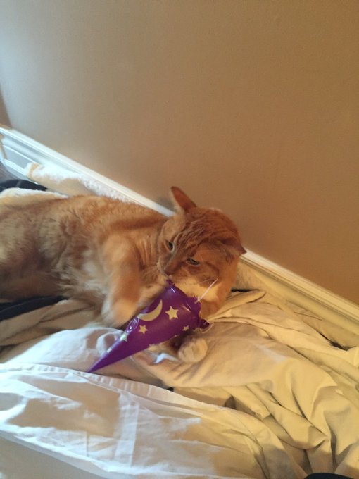 Well that didn't last long. https://t.co/iwnqnVuXus