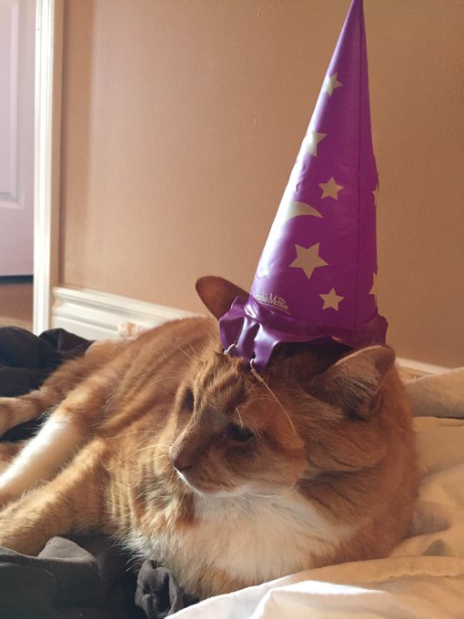 Well that didn't last long. https://t.co/iwnqnVuXus<a href="/tag/m0cojutemonday"class="tags"><span>#m0cojutemonday</span></a>